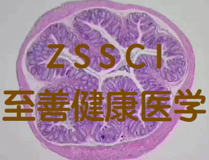 ����ҽѧ����ʵ���������