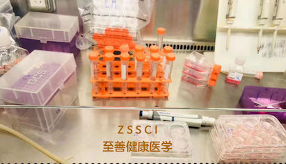 生物实验外包服务 生物实验外包服务