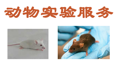 动物行为学实验外包服务 动物行为学实验外包服务