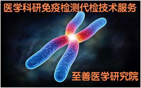 ҽѧ�������߼����켼������