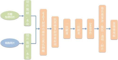 �����黯IHC���ʵ���������