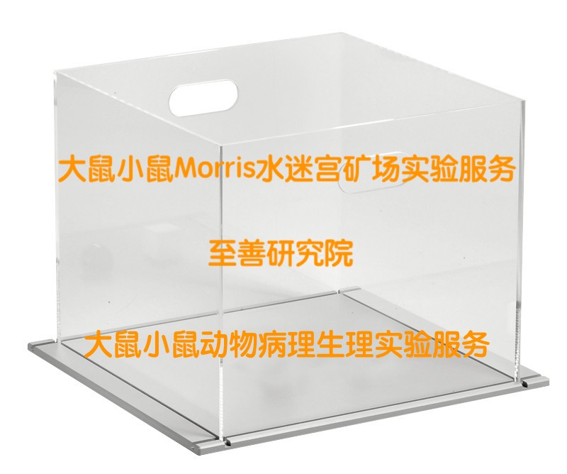 大鼠小鼠水迷宫矿场实验服务 大鼠小鼠水迷宫矿场实验服务
