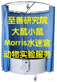 ��������С��Morrisˮ�Թ�ʵ�����