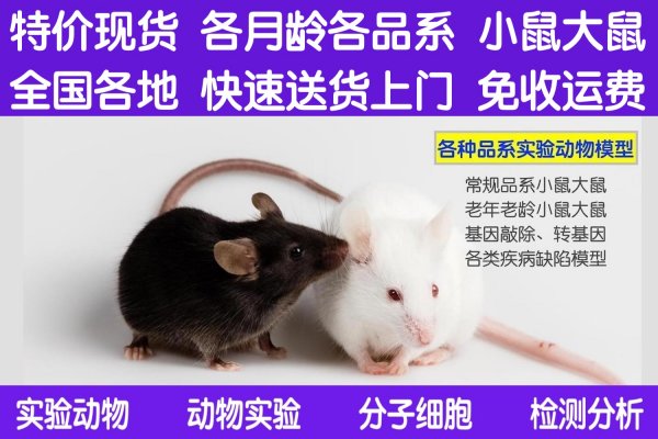 app/ps1С����۸��Ż�